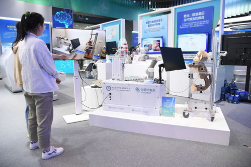 從“中國的硅谷”到“世界的中關村” 2024論壇解碼科技創新的全球服務新范式